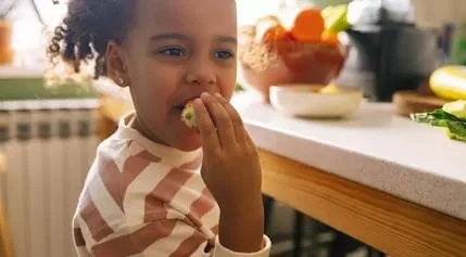 Feeding Fussy Eaters: Repetition Is Not Failure