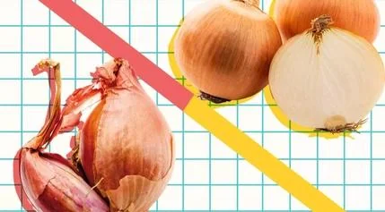 The Culinary Divide: Shallots Versus Onions