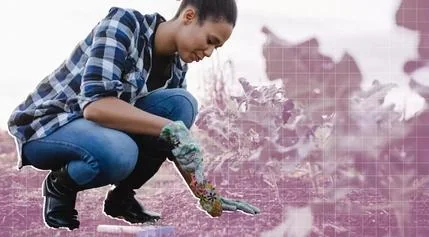 Transforming Your Garden: Innovative Uses for Everyday Food Scraps